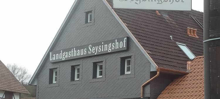 西辛斯霍夫酒店(Landgasthaus Zum Seysingshof)图片