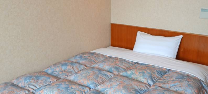 国分市酒店(City Hotel in Kokubu)图片