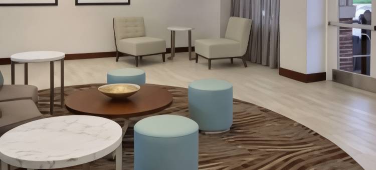 Homewood Suites by Hilton- 纳什维尔/布伦特伍德(Homewood Suites by Hilton Nashville - Brentwood)图片