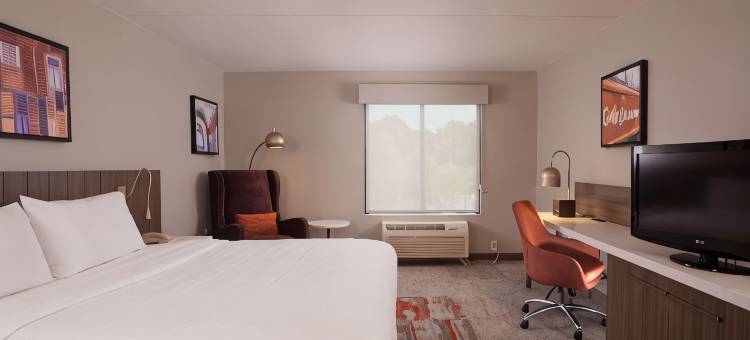 希尔顿花园酒店-亚特兰大机场千年中心(Hilton Garden Inn Atlanta Airport/Millennium Center)图片