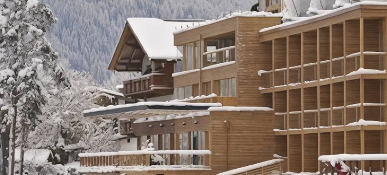 弗莱堡希维拉酒店(Seevilla Freiberg)图片