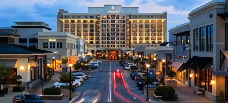 万丽罗利北山酒店(Renaissance Raleigh North Hills Hotel)图片