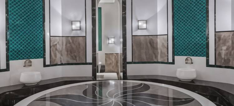 伊斯坦布尔库丘克亚勒精英世界大酒店(Elite World Grand Istanbul Küçükyalı)图片