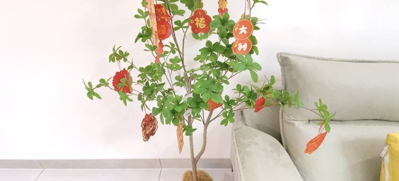 懿舍公寓(带村路分店)图片