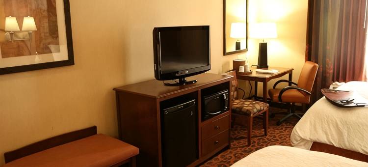 希尔顿欢朋套房酒店-纽卡斯尔(Hampton Inn & Suites New Castle)图片