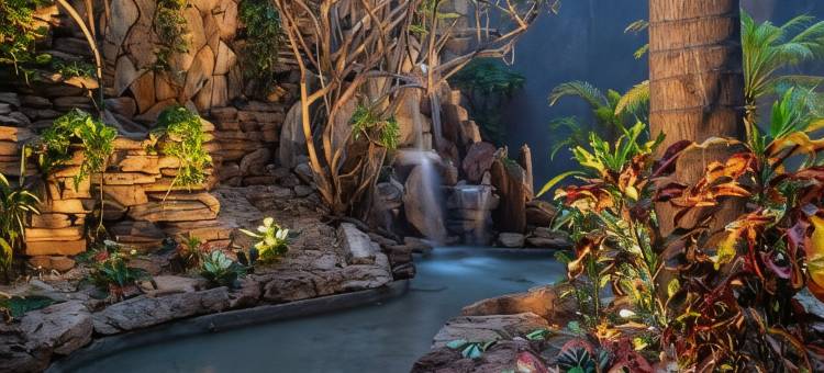 温莎广场巴西利亚酒店(Windsor Plaza Brasilia)图片