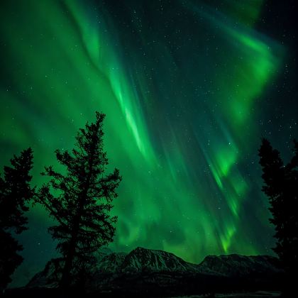 美国阿拉斯加州7日6晚跟团游