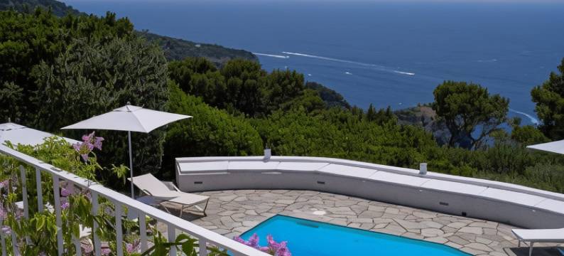 伊尔卡鲁布卡普里(Il Carrubo Capri)图片