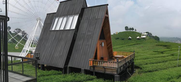 尼莫茶园度假村(Nimo Tea Resort)图片