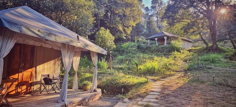 纳亚拉普旅馆(Nayalap - Rural Himalayan Glamping)图片