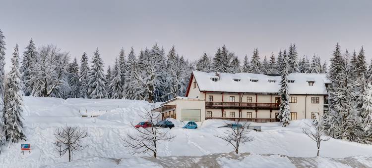 波戴勒高山酒店(Bödele Alpenhotel)图片