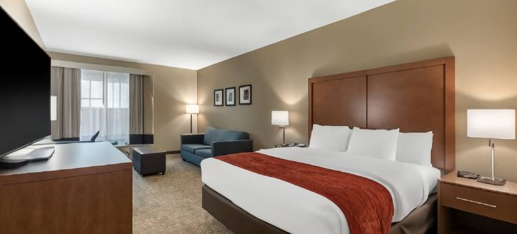 雪松山邓肯维尔舒适套房酒店(Comfort Inn & Suites Cedar Hill Duncanville)图片