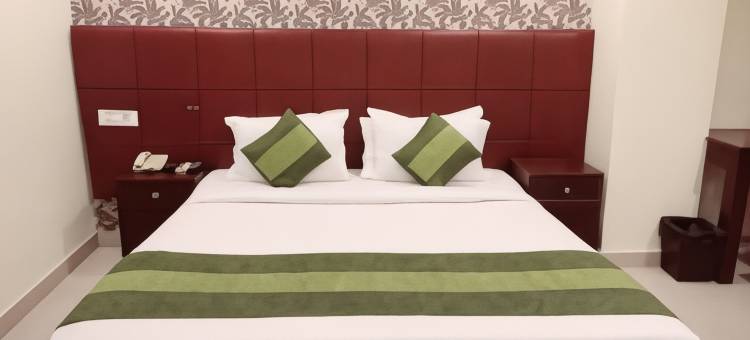 帕特里普特拉尼瓦那酒店(Hotel Patliputra Nirvanaa)图片