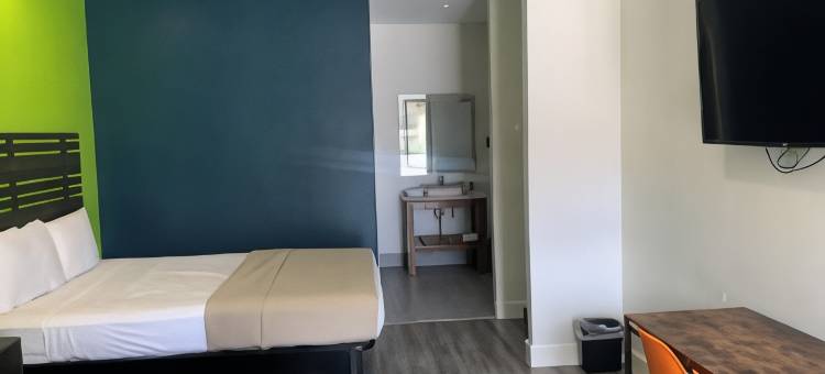 休斯顿格林斯波恩特签名酒店(Signature Inn Houston Greenspoint)图片