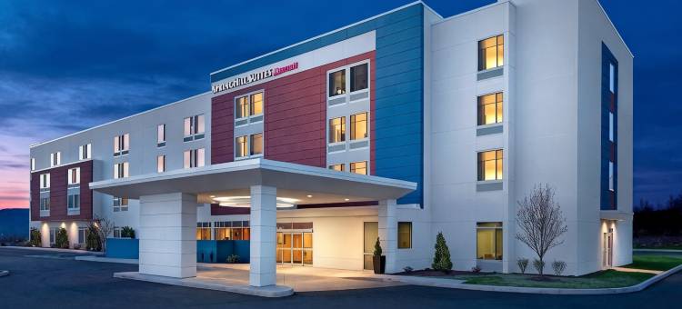 达拉斯DFW机场南中心港万豪SpringHill Suites酒店(SpringHill Suites Dallas DFW Airport South/CentrePort)图片