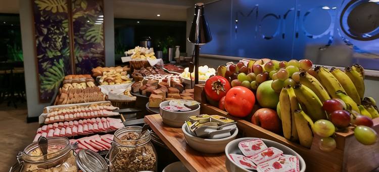 圣保罗波利尼温德姆酒店(Wyndham São Paulo Berrini)图片
