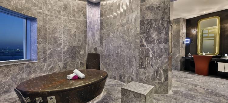 格芮希尔顿精选-多哈艾瑞恩酒店(AlRayyan Hotel Doha, Curio Collection by Hilton)图片