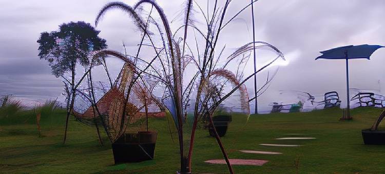 Sunrise Hill Petik Bintang图片