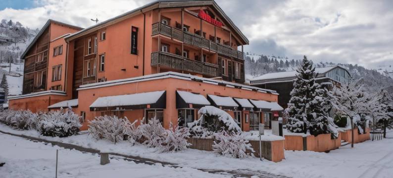 宜必思拉布雷斯热拉尔德梅酒店(Ibis la Bresse Gérardmer)图片