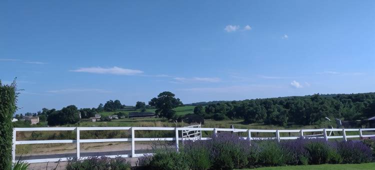 白房子旅馆(The White House Guest House)图片