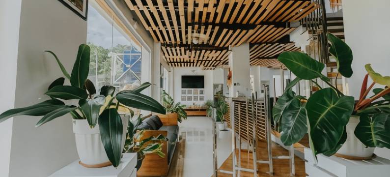 马尔克·范内利奥斯洛布(The Marc Vannelli Oslob)图片