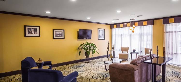 康福特套房辛普森维尔 - 格林维尔(Comfort Suites Simpsonville - Greenville)图片