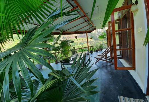 Serenity Homestay Hotel Overview