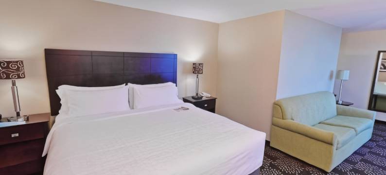 智选假日套房酒店匹兹堡(Holiday Inn Express & Suites PITTSBURGH WEST - GREEN TREE by IHG)图片
