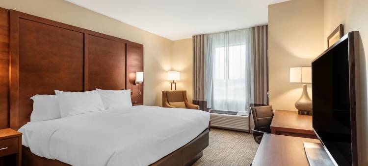 舒适套房酒店(Comfort Inn & Suites)图片