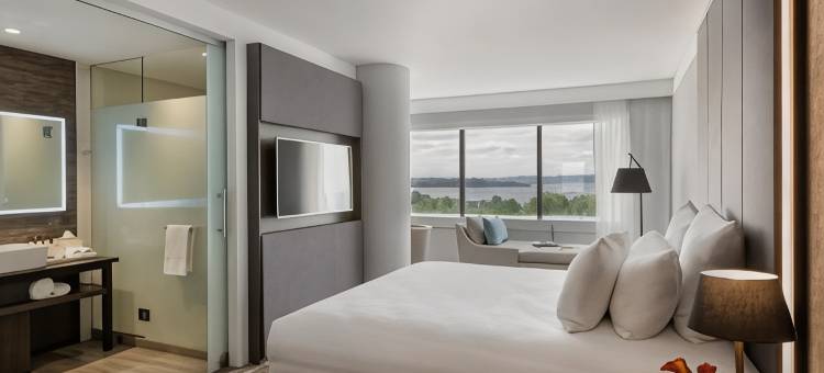 罗托鲁瓦铂尔曼酒店(Pullman Rotorua)图片