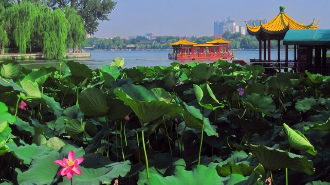 山东济南+曲阜+泰山+青岛+威海+烟台+蓬莱区7日6晚跟团游·5A+泰山+三孔+崂山+刘公岛+蓬莱阁+升1晚临海酒店+非遗鲁菜+虾兵蟹将+创意九宫格