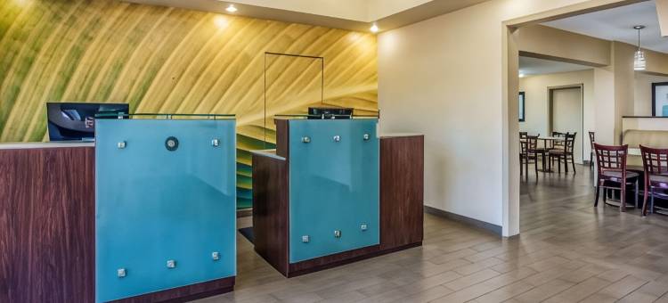 卡尔斯巴德乐高乐园拉昆塔温德姆套房酒店(La Quinta Inn & Suites by Wyndham Carlsbad - Legoland Area)图片