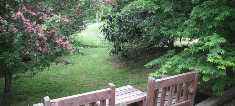 利菲尔德小屋住宿加早餐旅馆(Leafield Cottages)图片