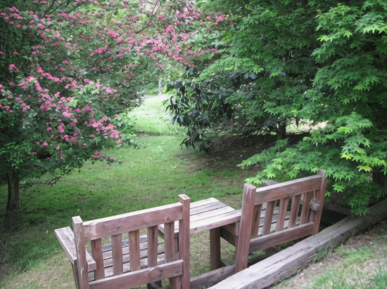利菲尔德小屋住宿加早餐旅馆