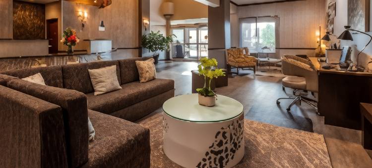 邓肯维尔达拉斯贝斯特韦斯特优质酒店(Best Western Plus Duncanville Dallas)图片