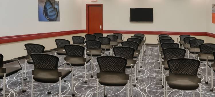 圣路易斯森林公园希尔顿逸林酒店(DoubleTree by Hilton St. Louis Forest Park)图片