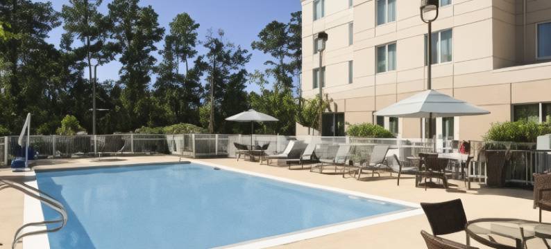 休斯顿/伍德兰斯希尔顿花园旅馆(Hilton Garden Inn Houston/The Woodlands)图片