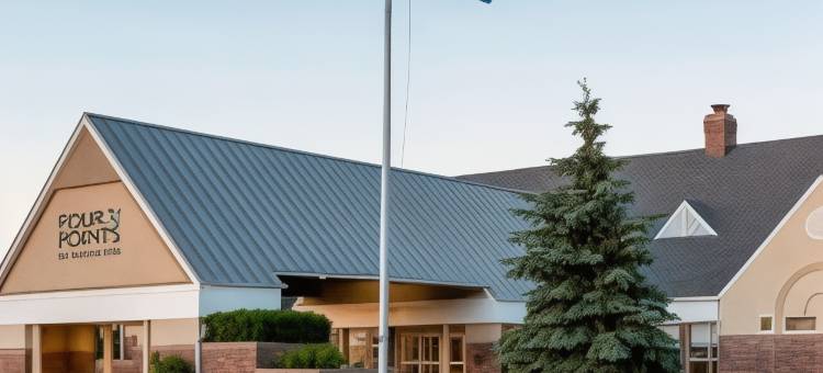 布法罗格罗韦福朋喜来登酒店(Four Points by Sheraton Buffalo Grove)图片