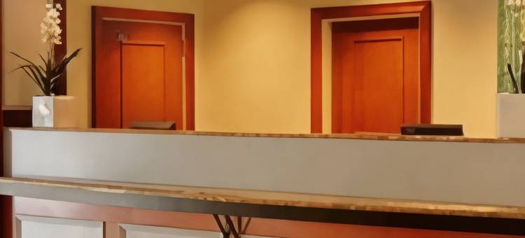 坦帕西岸机场万豪SpringHill酒店(SpringHill Suites Tampa Westshore Airport)图片