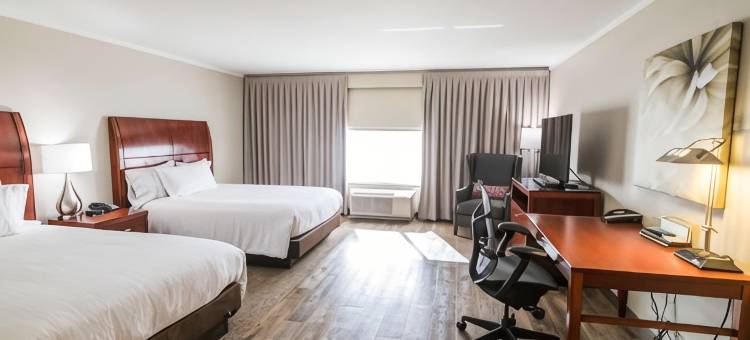 博林格林希尔顿花园旅馆(Hilton Garden Inn Bowling Green)图片