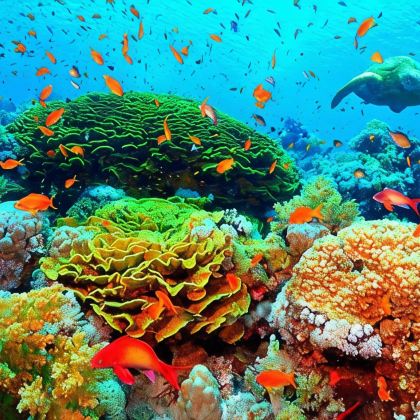 越南胡志明市+富国岛6日拼小团