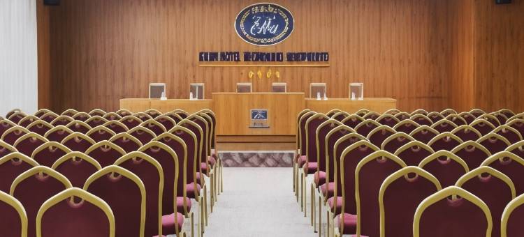厄尔巴维辛达里奥机场商务及会议酒店(Elba Vecindario Aeropuerto Business & Convention Hotel)图片