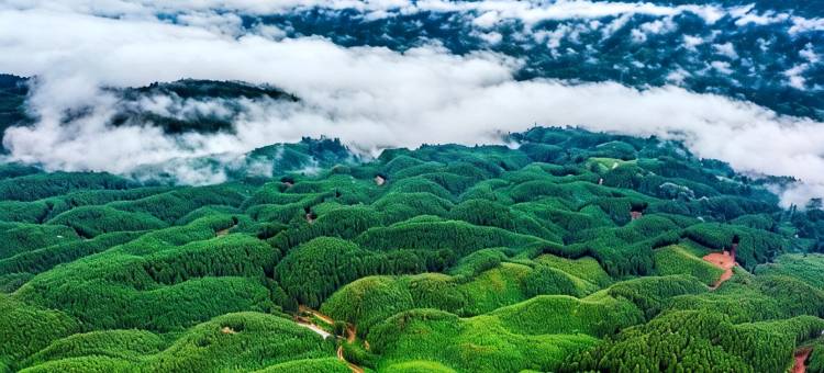 瓦屋山观山悦民宿图片