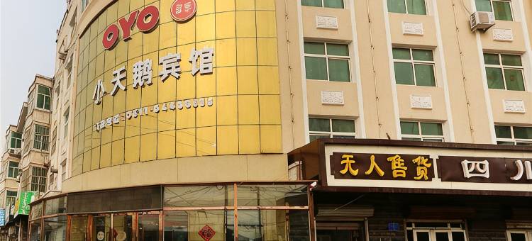 晋州小天鹅宾馆图片