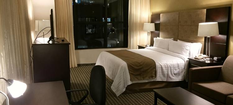 墨西哥城圣达菲假日酒店(Holiday Inn MEXICO SANTA FE by IHG)图片