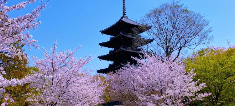 Stay SAKURA  京都 祗园宫川町(Stay Sakura Kyoto Gion Miyagawacho)图片