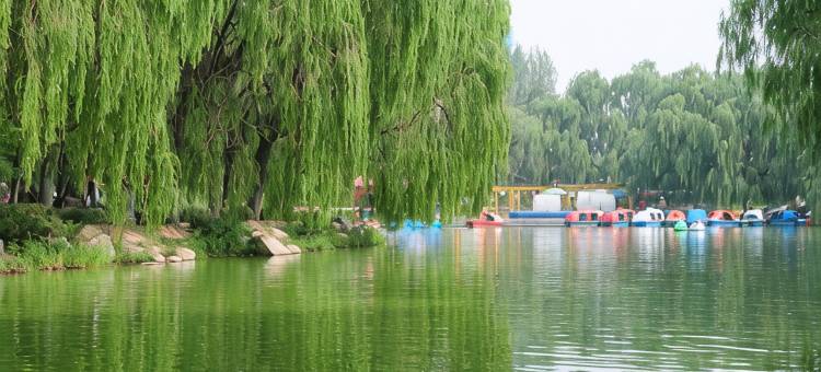呼和浩特满都海公园乌兰察布西街亚朵酒店图片