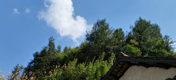 松阳老周家客栈图片