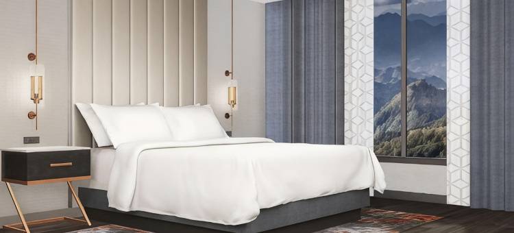 希尔顿大使套房鸽子谷度假村(Embassy Suites by Hilton Pigeon Forge Resort)图片