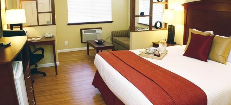 圣克鲁兹山凯艺套房酒店(Quality Inn & Suites Santa Cruz Mountains)图片